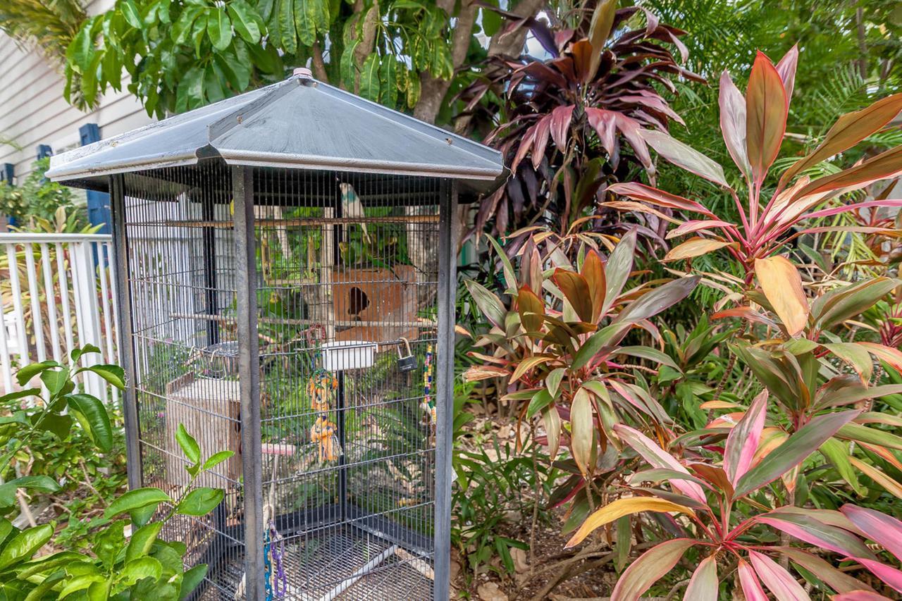 Old Town Garden Villas Key West Zimmer foto